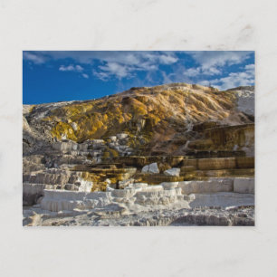 Mammoth Hot Spring Postkarte