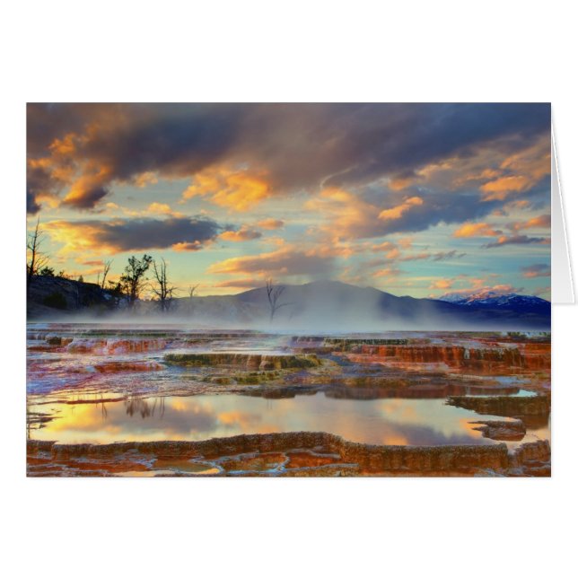 Mammoth Hot Springs (Vorderseite (Horizontal))