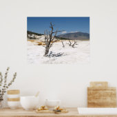 Mammoth Hot Springs Hauptterrasse Poster (Küche)