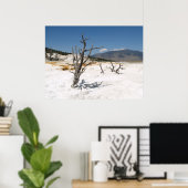 Mammoth Hot Springs Hauptterrasse Poster (Heimbüro)