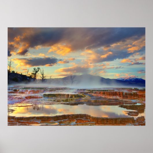 Mammoth Hot Springs Poster (Vorne)