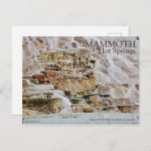 MAMMOTH HOT SPRINGS, YELLOWSTONE NATIONAL PARK, WE POSTKARTE (Vorne/Hinten)