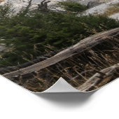 Mammoth Hot Springs, Yellowstone Nationalpark Poster (Ecke)