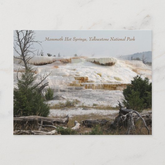 Mammoth Hot Springs, Yellowstone Nationalpark Postkarte (Vorderseite)