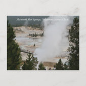 Mammoth Hot Springs, Yellowstone Nationalpark Postkarte (Vorderseite)