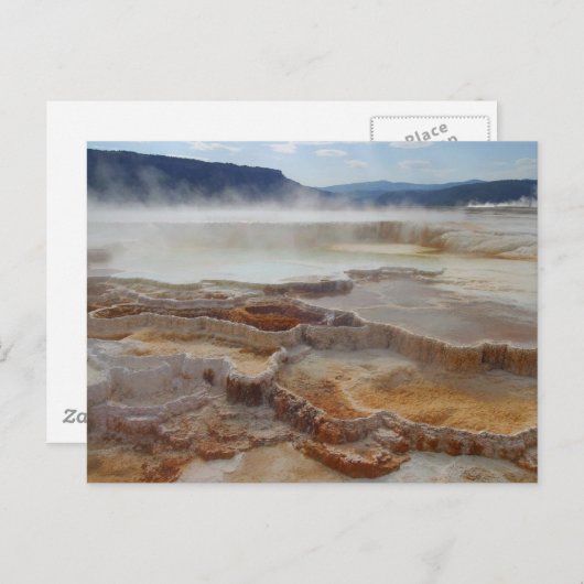 Mammoth Hot Springs Yellowstone Postkarte (Vorne/Hinten)