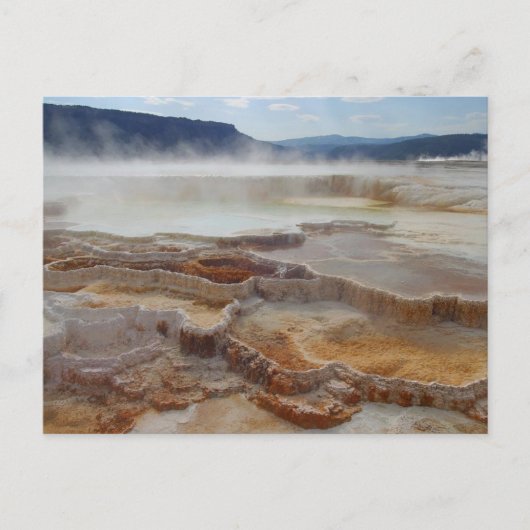 Mammoth Hot Springs Yellowstone Postkarte (Vorderseite)