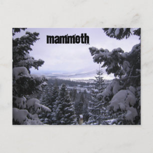Mammoth Mountain Postkarte