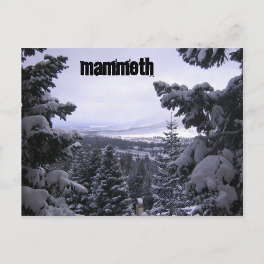 Mammoth Mountain Postkarte (Vorderseite)