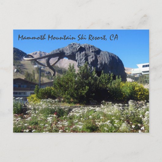 Mammoth Mountain Ski Resort, CA Postkarte (Vorderseite)