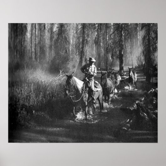 Mammoth Mules Poster (Vorne)