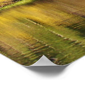 MAMMOTH SEEN-GEBIET MIT FALL-REFLEKTIONEN POSTER (Ecke)