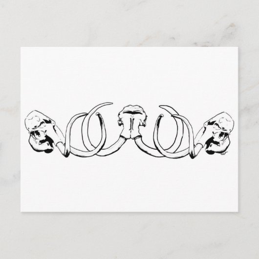 Mammoth Skull Postcard Postkarte (Vorderseite)