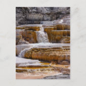 Mammoth Springs Falls Postkarte (Vorderseite)