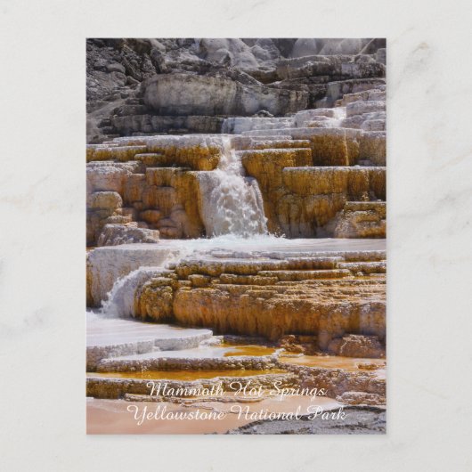 Mammoth Springs Falls Postkarte (Vorderseite)
