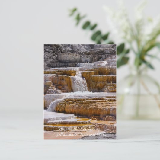 Mammoth Springs Falls Postkarte (Stehend Vorderseite)