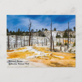Mammoth Springs Yellowstone Nationalpark Postcard Postkarte