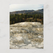 Mammoth Steps 2008 Postkarte (Vorderseite)