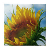 Mammoth Sunflower Fliese (Vorderseite)