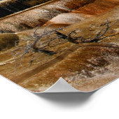 Mammoth Terraces Poster (Ecke)