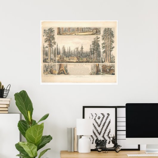 Mammoth Tree Grove (0976A) Poster (Heimbüro)
