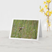 Mammoth wasp - Megascolia maculata Karte (Gelbe Blume)