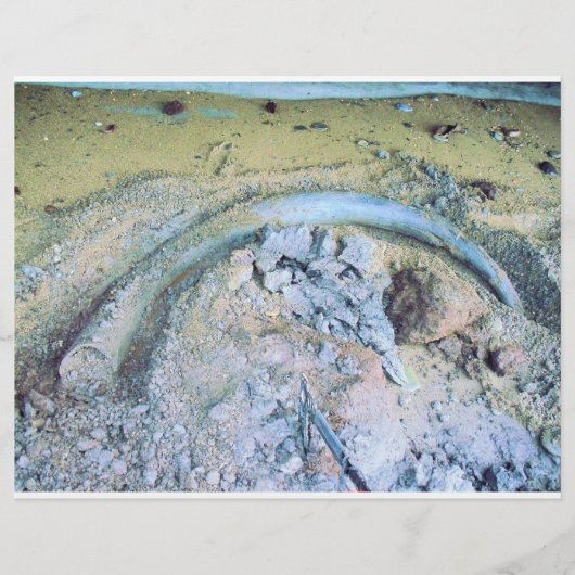 Mammotusk (2) flyer (Vorne)