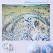 Mammotusk (2) flyer (Einzeln)