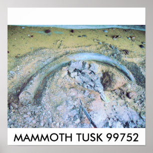 Mammotusk (2), MAMMOTH TUSK 99752 Poster