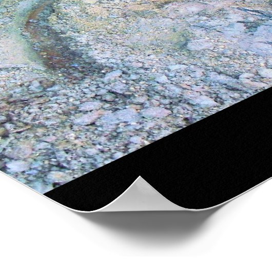 Mammotusk (2) poster (Ecke)