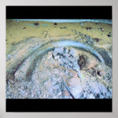 Mammotusk (2) poster (Vorne)