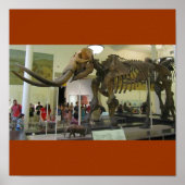 Mammut! Poster (Vorne)