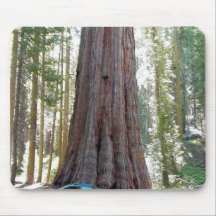 Mammutbaum-Auto-Baum Mousepad