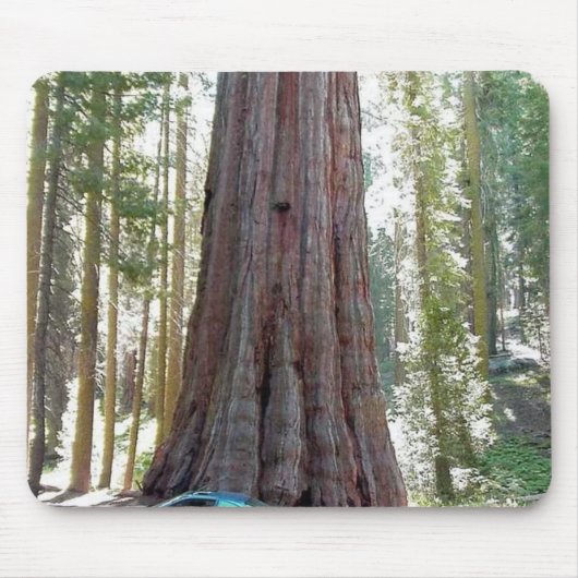 Mammutbaum-Auto-Baum Mousepad (Vorne)