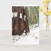 Mammutbaum im Schnee Karte (Gelbe Blume)