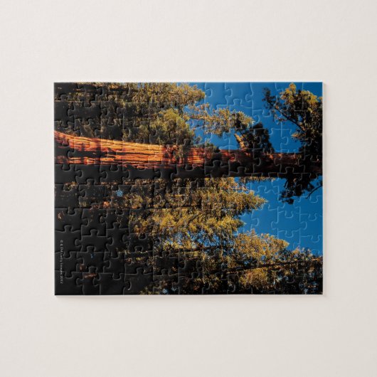 Mammutbaum-Nationalpark, Kalifornien 2 Puzzle (Horizontal)