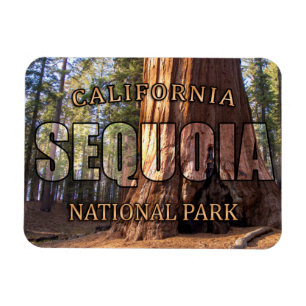 Mammutbaum-Nationalpark-Magnet Magnet
