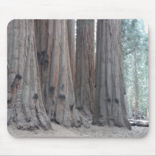 Mammutbaum-Nationalpark Mousepad