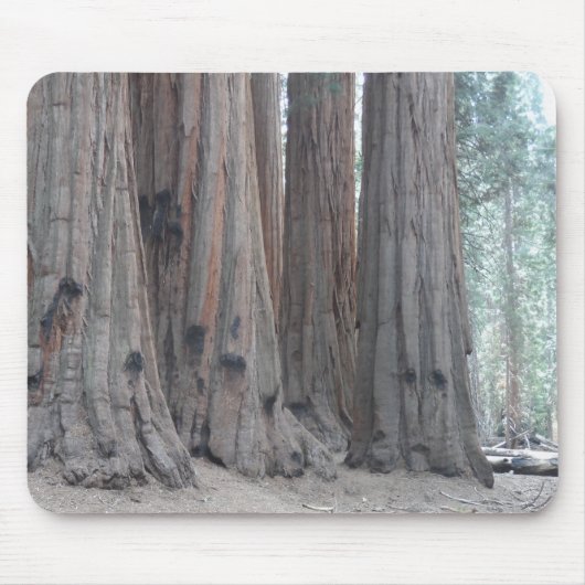 Mammutbaum-Nationalpark Mousepad (Vorne)