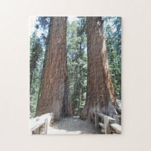 Mammutbaum-Nationalpark Puzzle