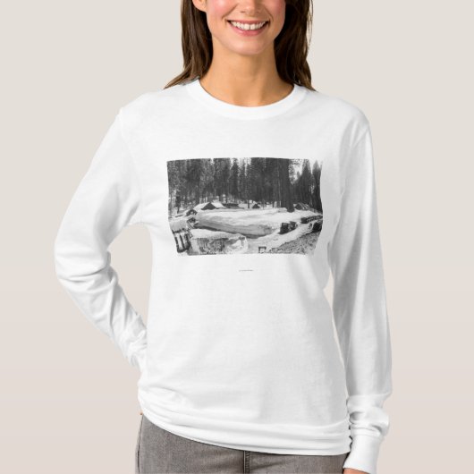 Mammutbaum-Nationalpark-Schnee-Szene im Dorf T-Shirt (Vorderseite)