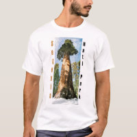 Mammutbaum-Nationalpark-Shirt