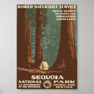 Mammutbaum-Nationalpark-Vintage Reise Poster