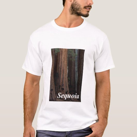 Mammutbaum T-Shirt (Vorderseite)