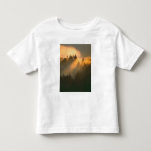 Mammutbäume im Küstennebel, Marin County, Kleinkind T-shirt