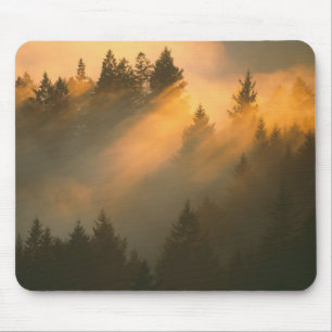 Mammutbäume im Küstennebel, Marin County, Mousepad