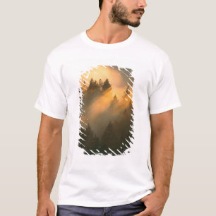 Mammutbäume im Küstennebel, Marin County, T-Shirt