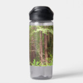 Mammutbäume im Muir Woods National Monument Trinkflasche (Rückseite)