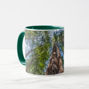 Mammutbäume Marin County, Kalifornien Tasse