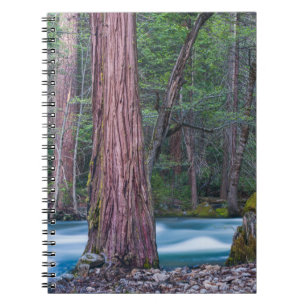 Mammutbäume & Merced River Yosemite National Park, Notizblock
